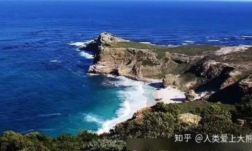 中药白芥子有什么作用和功效专区_中药白芥子的副作用专区_中药白芥子有什么作用网