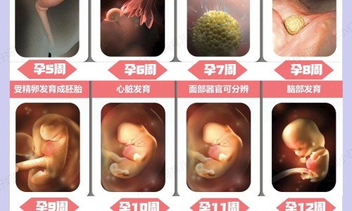 中药白芥子有什么作用和功效专区_中药白芥子的副作用专区_中药白芥子有什么作用网